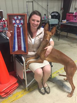 Summer & Grahm after their 3rd All Breed Best In Show win in just a few months!